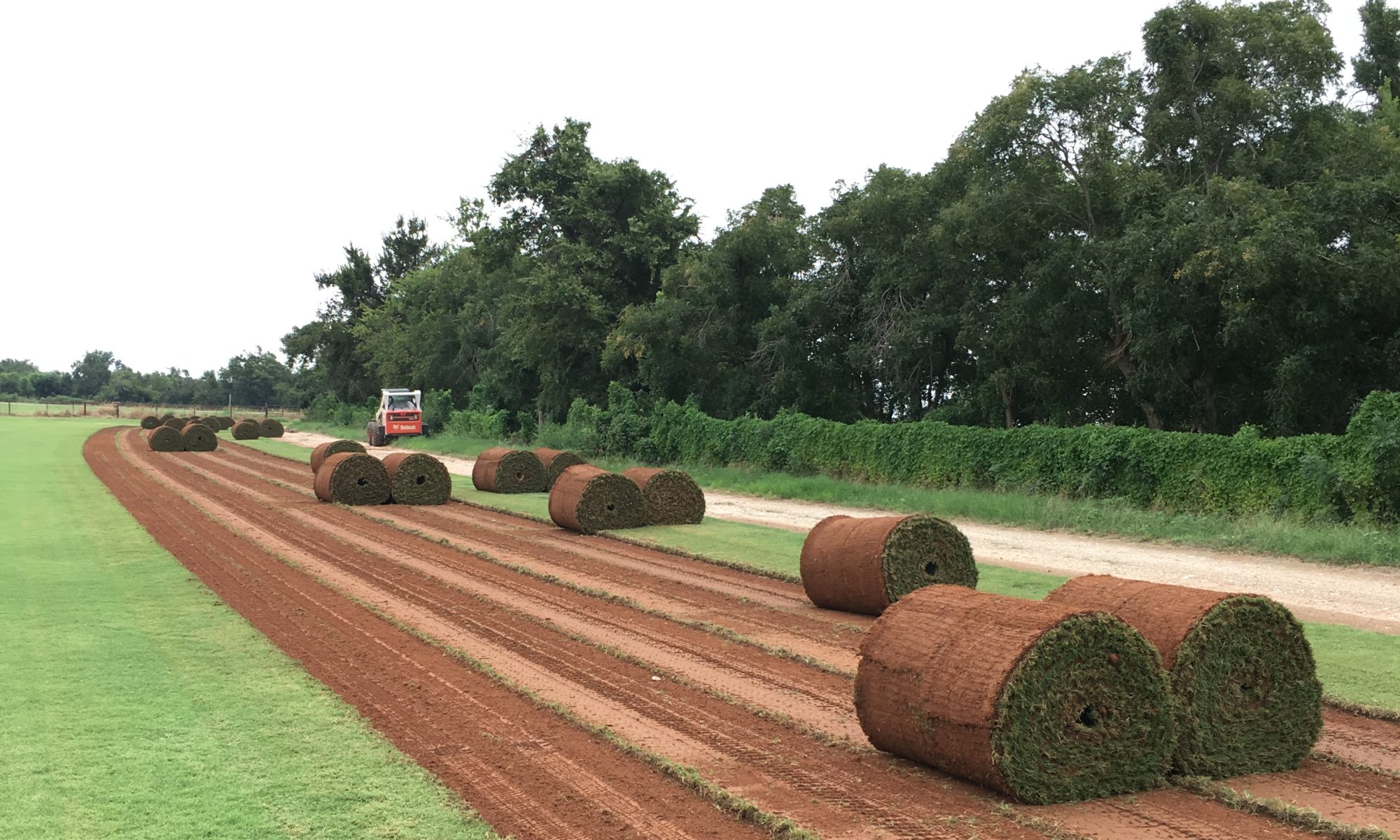 Sod By Sherry Inc Oklahoma Bermuda And Fescue Sod Farm